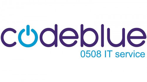 Youth Employment Success employer CodeBlue Limited  logo